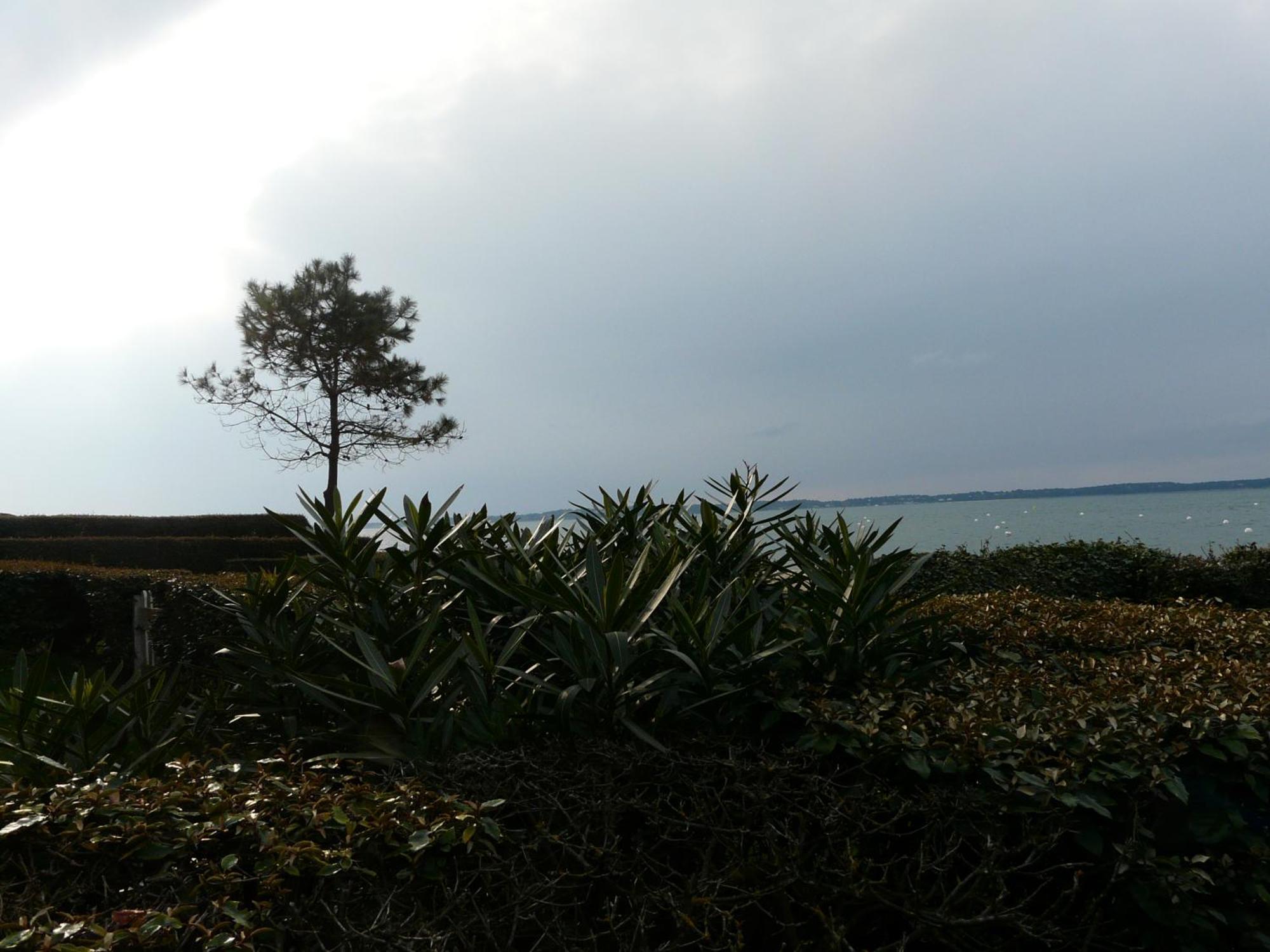 Arcachon Pereire Bord De Plage Exterior foto